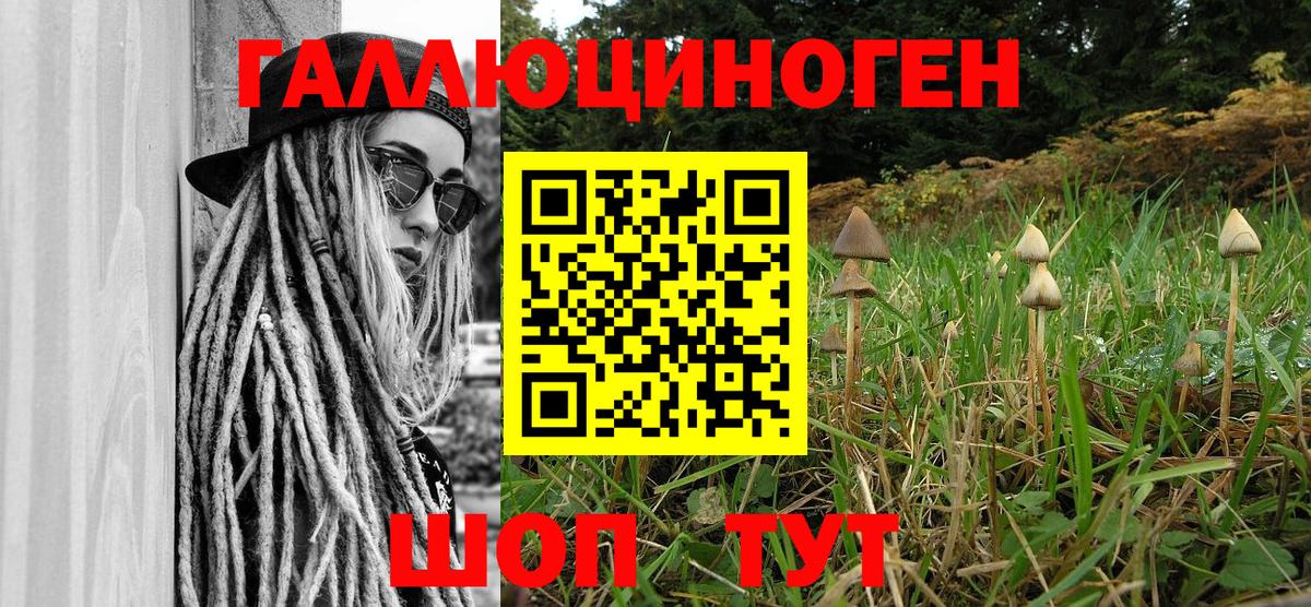 Псилоцибиновые грибы MAGIC MUSHROOMS Дербент