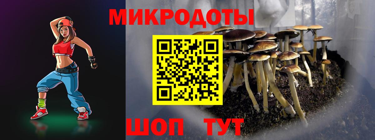 Дербент  Галлюциногенные грибы MAGIC MUSHROOMS  Вход с VPN  Галлюциногенные грибы ЛСД 